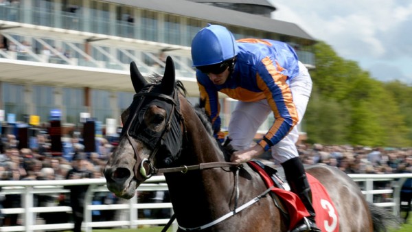 Kilimanjaro misses the St Leger