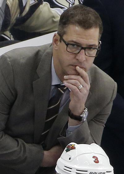 Darryl Sydor has been an assistant coach with the Wild for the past four seasons.