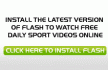 install_flash46